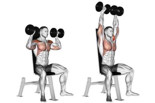 🏋️‍♂️ Épaules et trapèzes : comment les renforcer efficacement à la maison