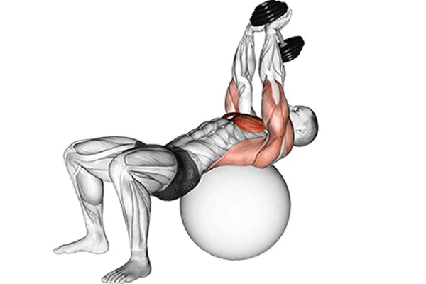 Sportif de 40 ans réalisant un dumbbell pullover avec haltères réglables FitnesStorm, sculptant poitrine, dorsaux et tronc en seulement 3 minutes.