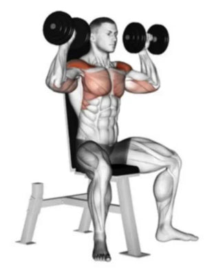 🏋️‍♂️ Épaules et trapèzes : comment les renforcer efficacement à la maison