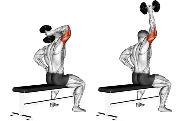 Exercice d’extension nuque avec haltère en unilatéral pour isoler et renforcer les triceps, réalisé assis pour plus de stabilité et sécurité, avec contrôle du mouvement et légère flexion du coude.