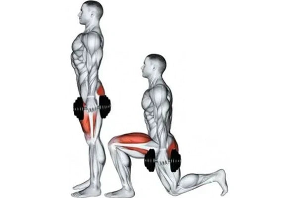 Démonstration des fentes avant avec haltères, exercice de base pour renforcer quadriceps et fessiers. Pas moyen ciblant davantage les cuisses, grand pas accentuant les fessiers, avec dos droit et contrôle du mouvement.