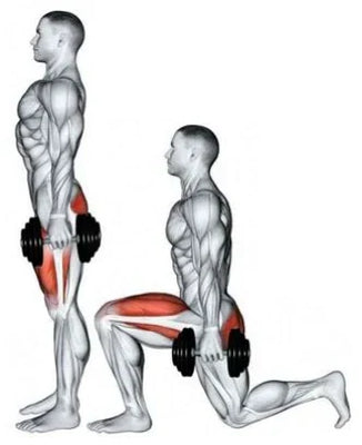 🍑 Cuisses et fessiers : comment les muscler efficacement à la maison