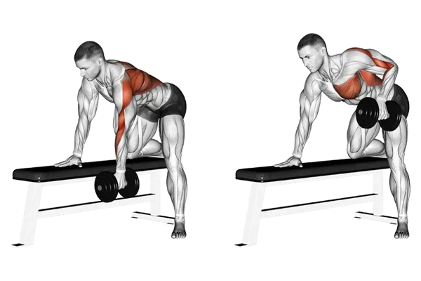 Image démontrant l’exercice de rowing haltère avec les haltères réglables Fitnesstorm, disponibles en noir et gris, poids 16, 20 et 24 kg. Mouvement unilatéral pour renforcer dorsaux, trapèzes et deltoïdes postérieurs.