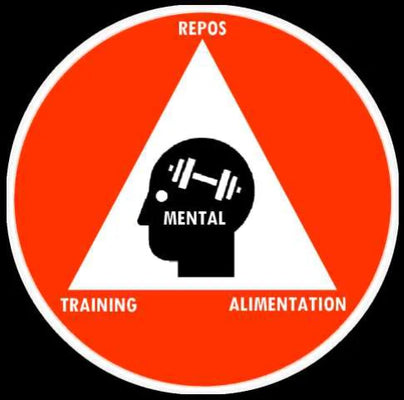 Construction Musculaire Sans Prise de Graisse